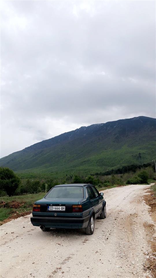 jetta