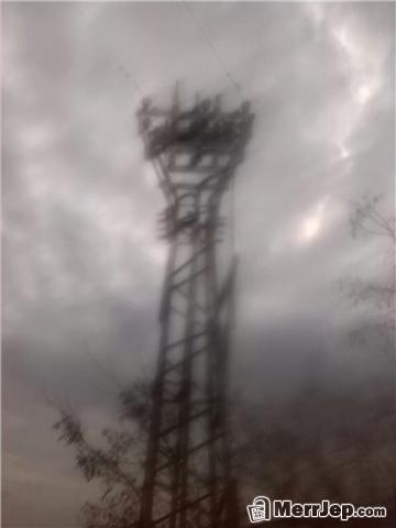 Trafa 