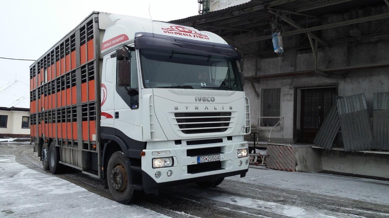 Iveco