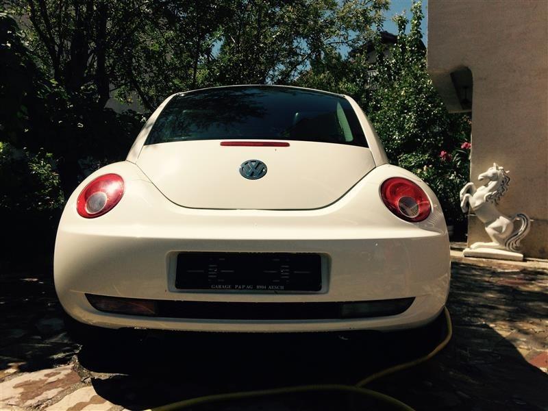 Bettle