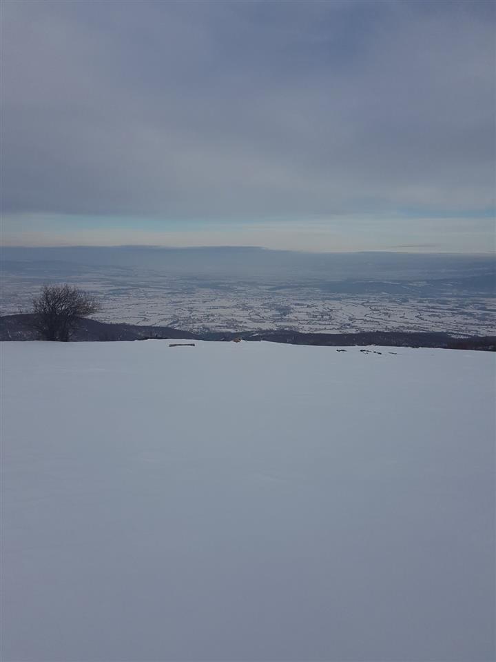 toka