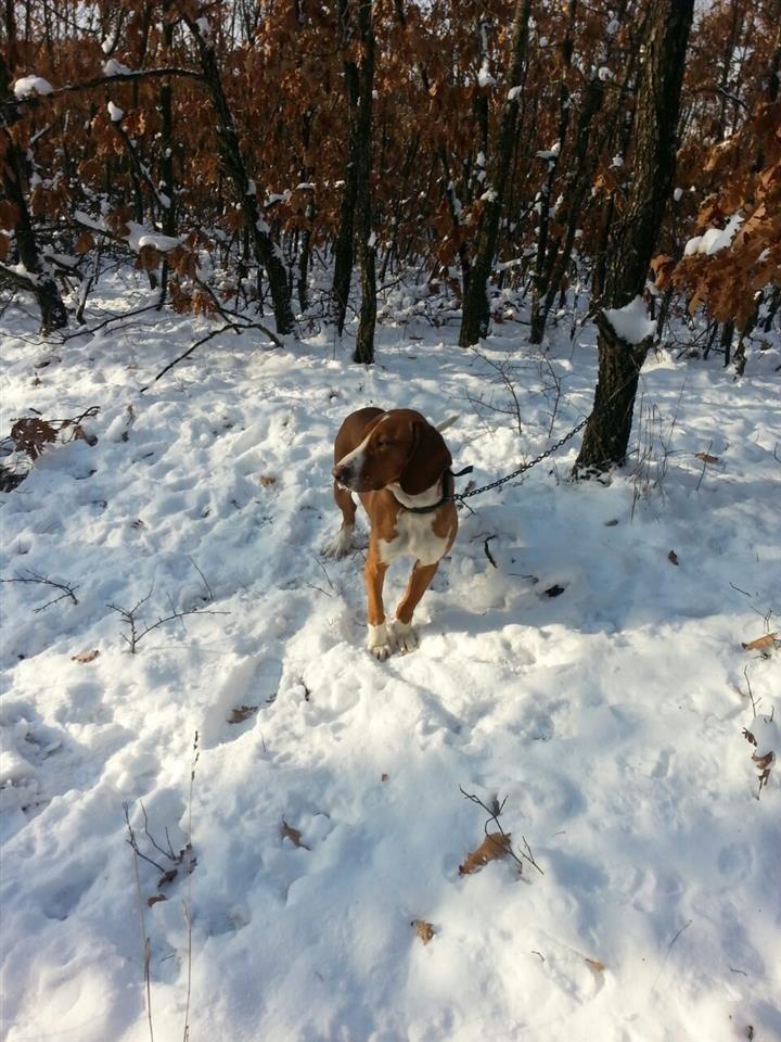 Zagar