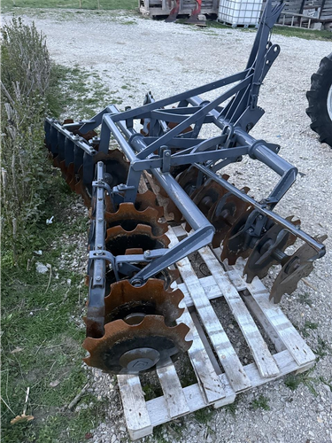 Tanira me 6