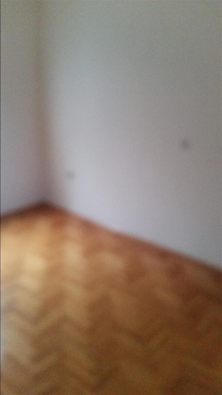 Apoloni