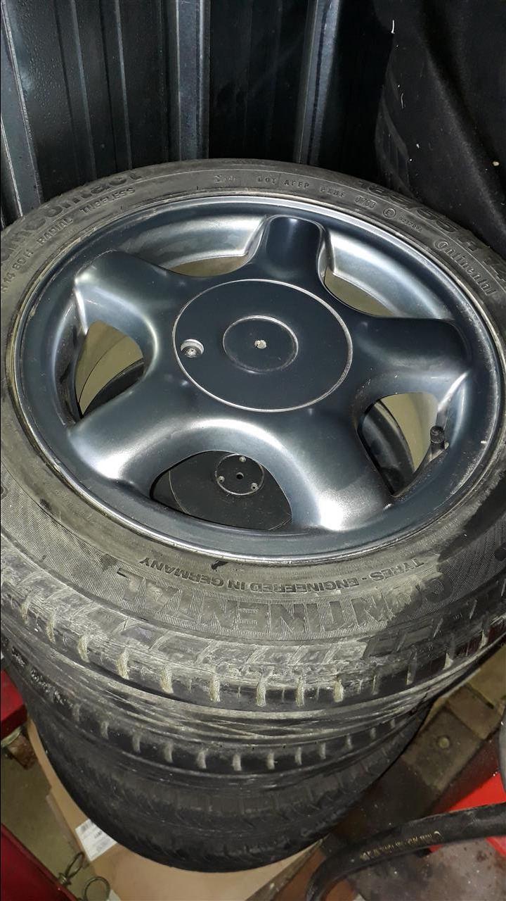 Lupo