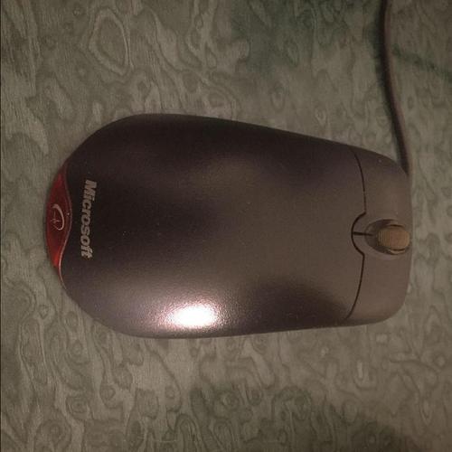 Microsoft 1.0