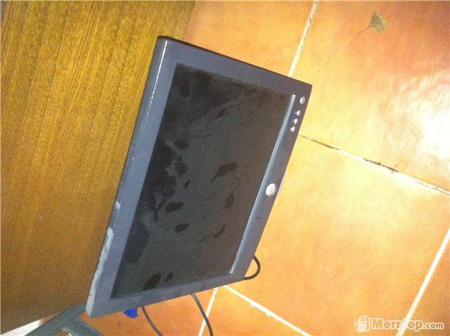 Monitor-DELL