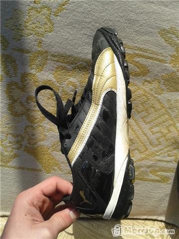 Puma