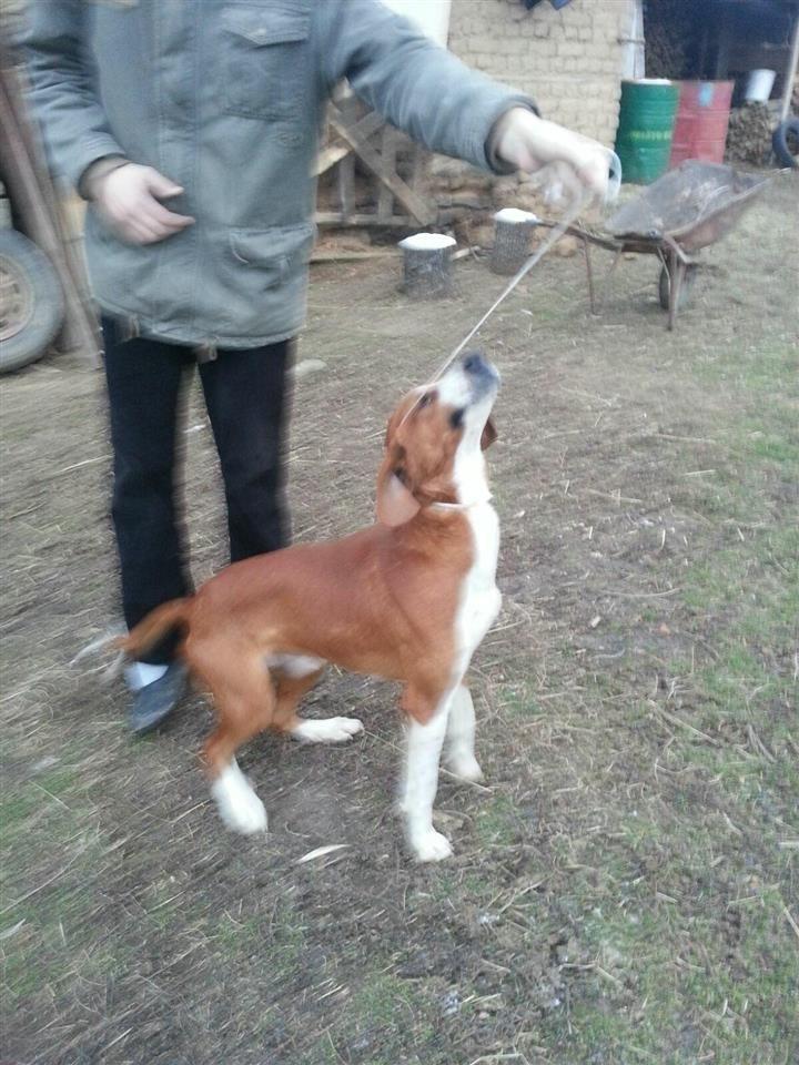 Zagar