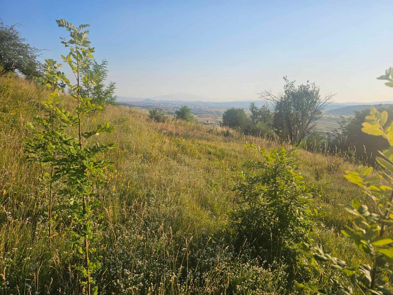Parcela