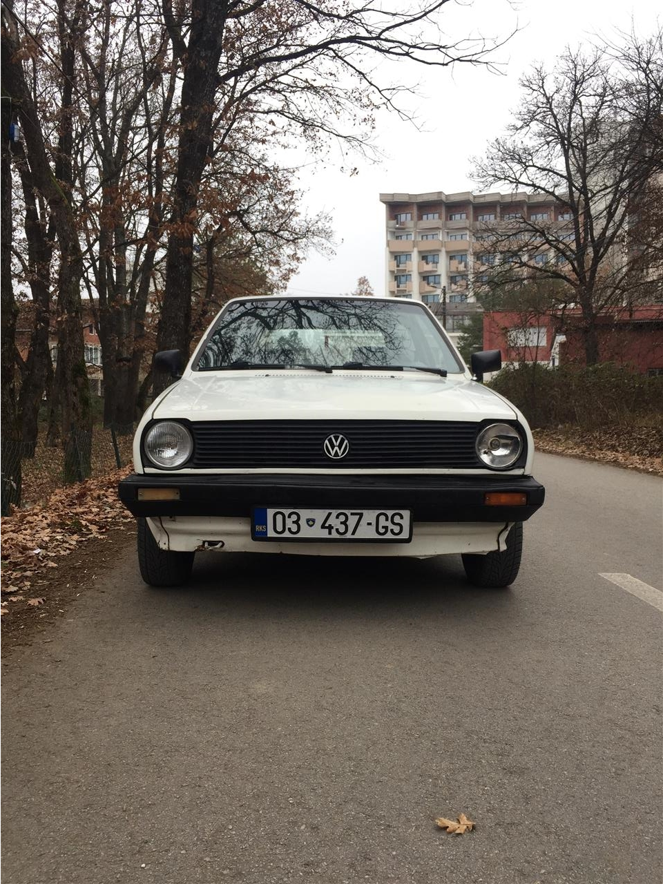 Polo