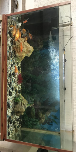 Aquarium