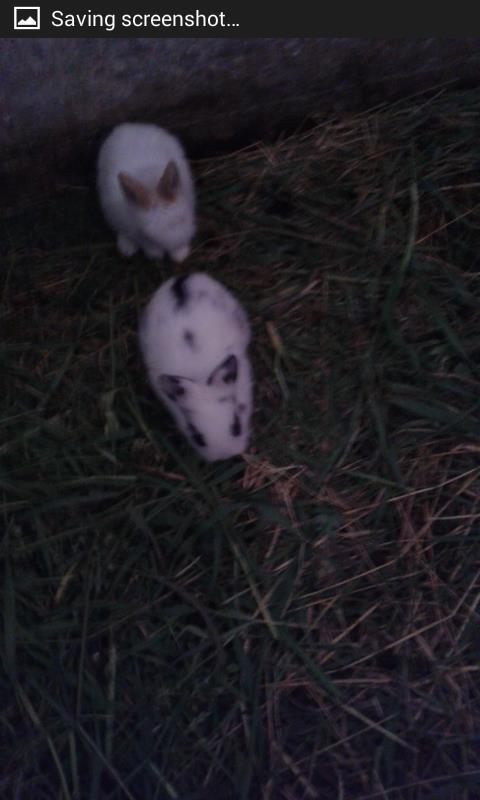 Lepra