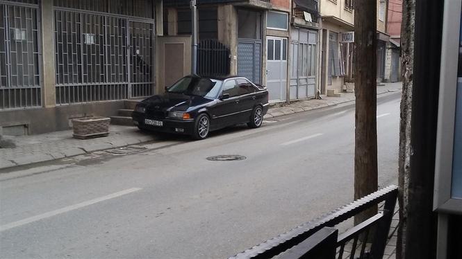 bmw delfin