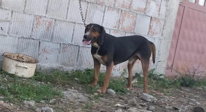 Zagar