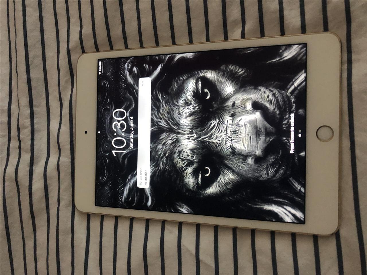 Ipad-Mini-4