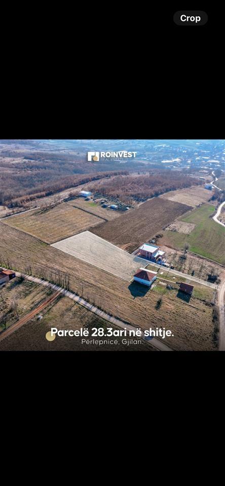 Shitet-parcella-28-ari-te-Vali-Ranch-qmimi-i-volitshem