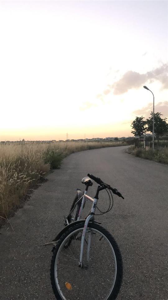 Mtb