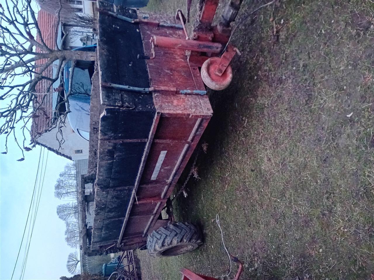 Prokolic