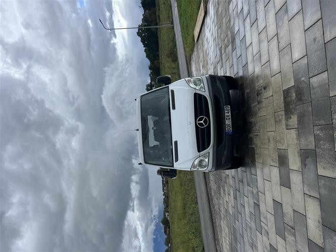 Sprinter