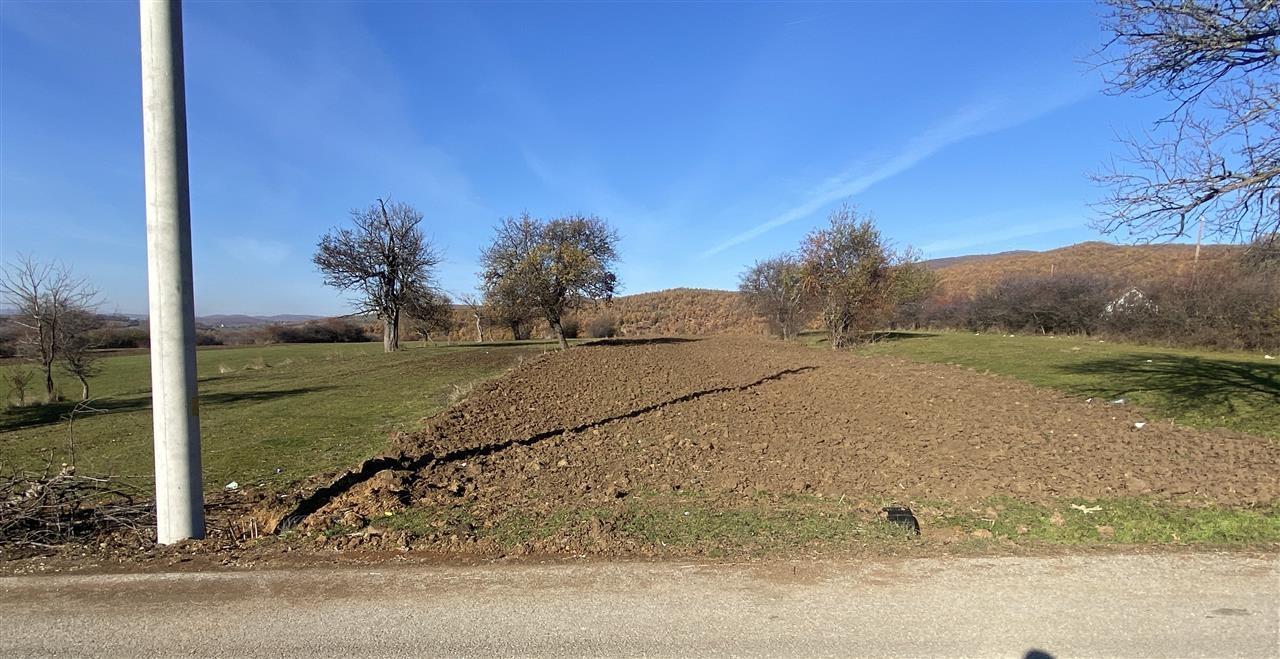 prcella