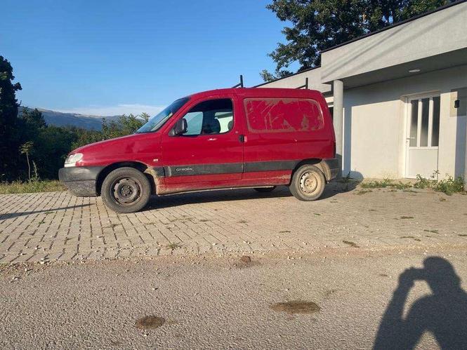 Shitet citroeni