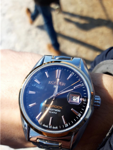 Roamer