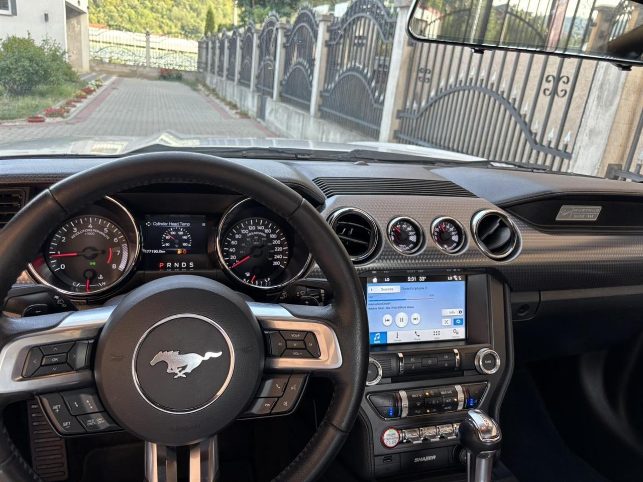 Mustang