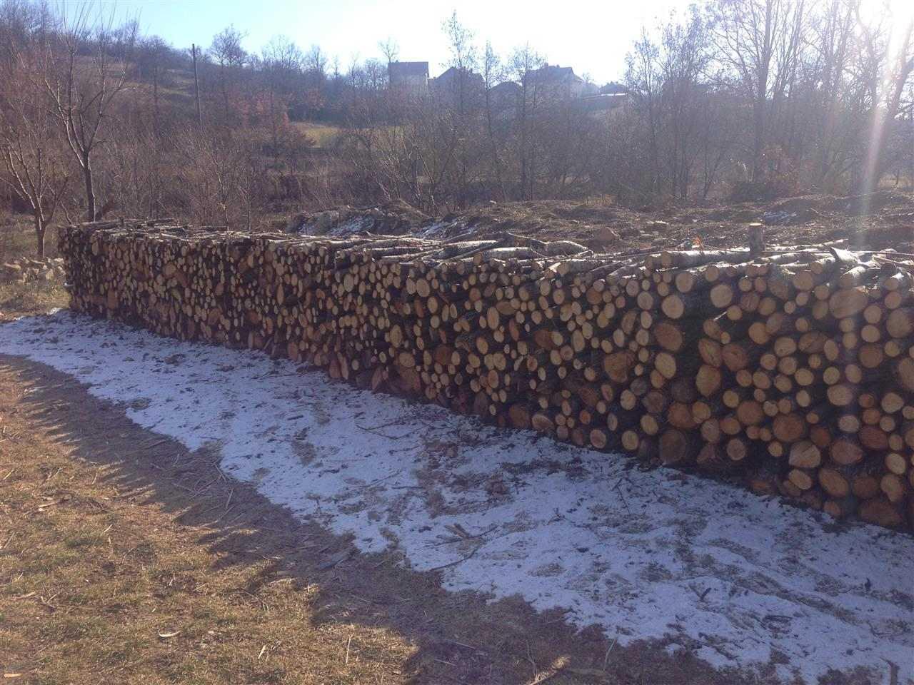 Shiten-drut