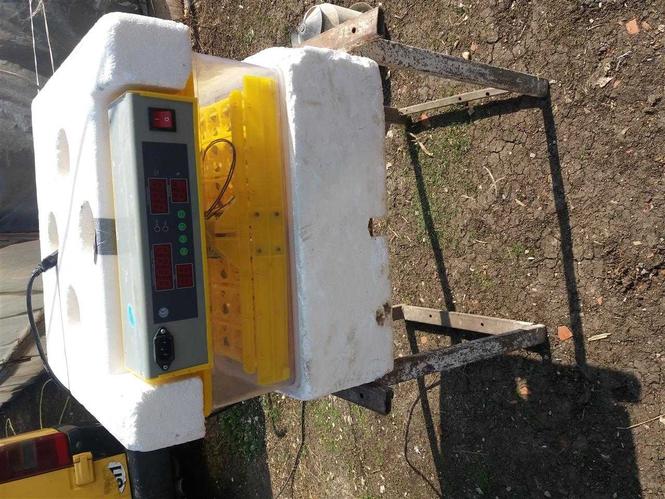 Inkubator
