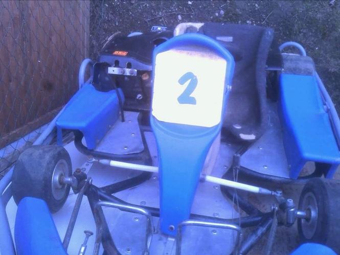 Mini formula  go kard