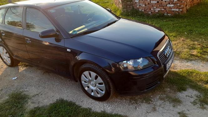 Shitet Audia a3 2.0 