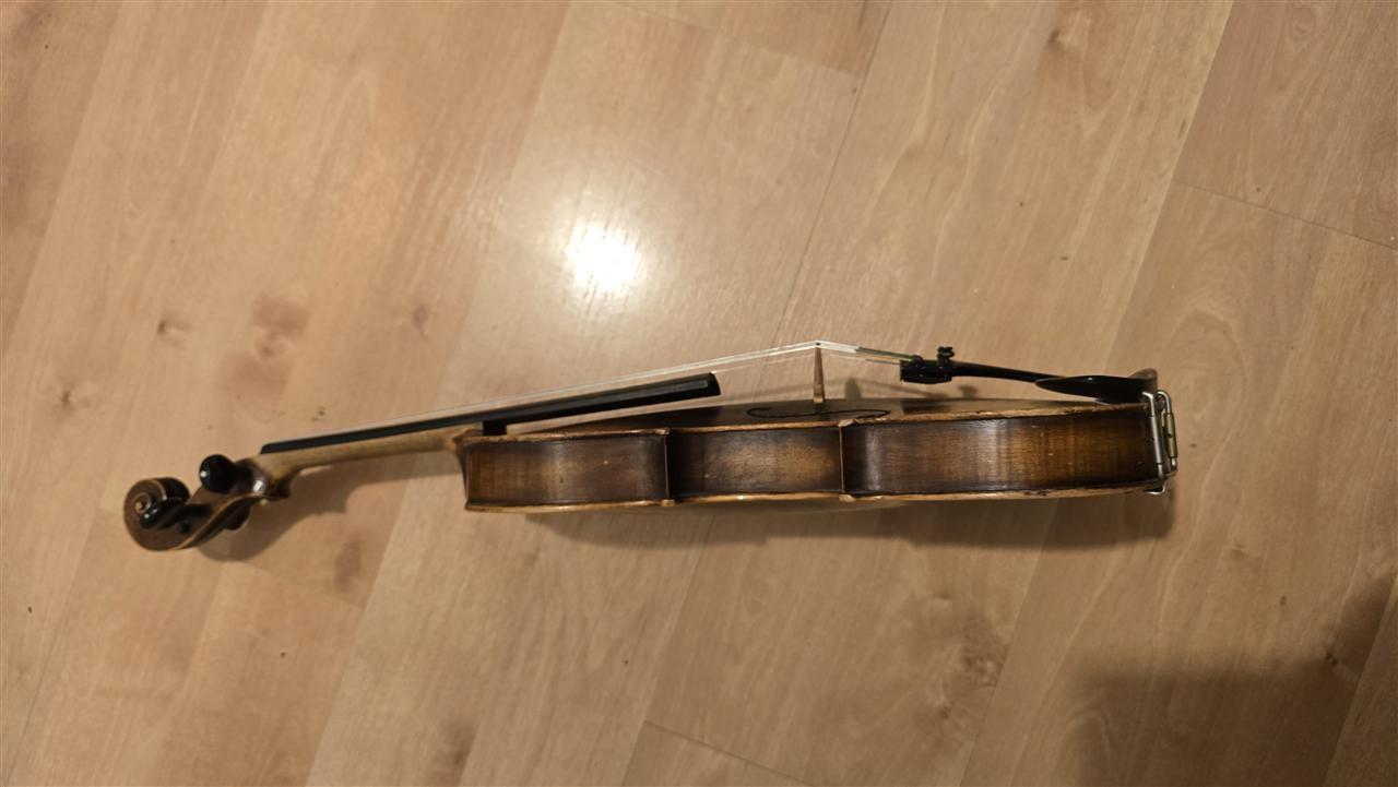 Violinë