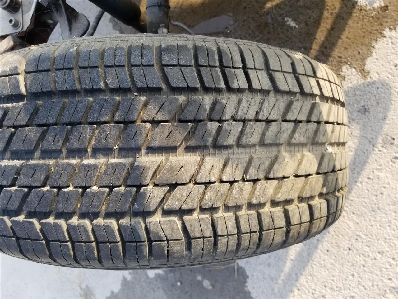 Fellne-