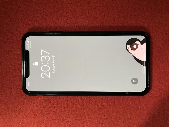 Iphone XS Max