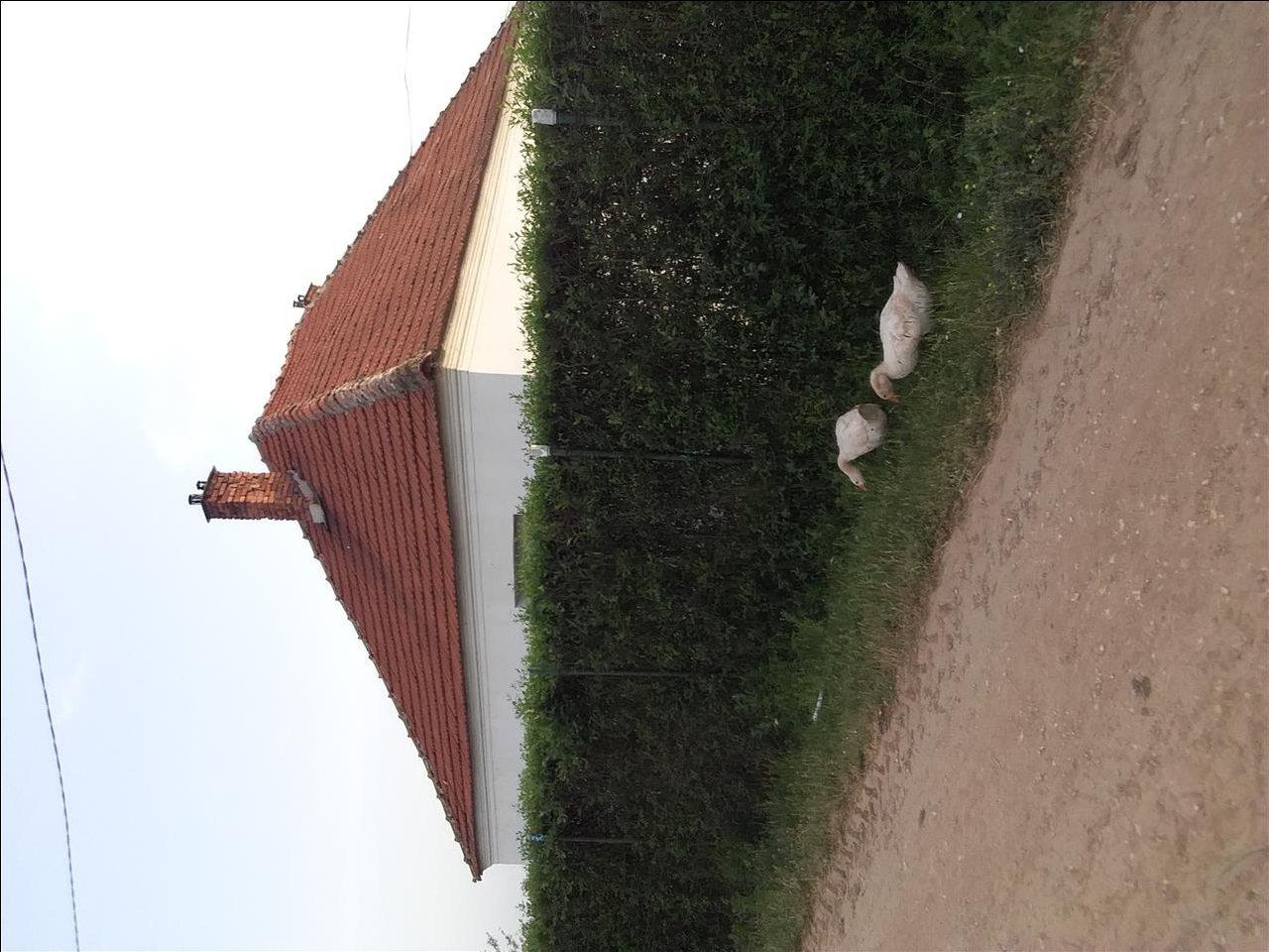 gusa