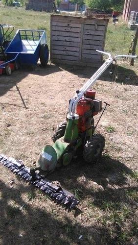 Kose e barit