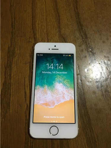iPhone 5s