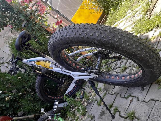 Bicikel model 2019
