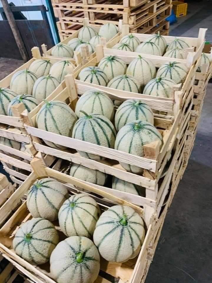 Perime-nga-Shqiperia-export