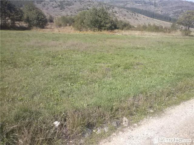 Toka