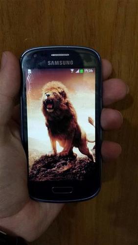 shitet samsung s3 mini