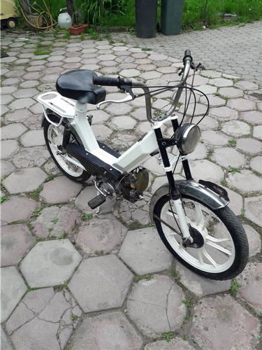 Sachs.  