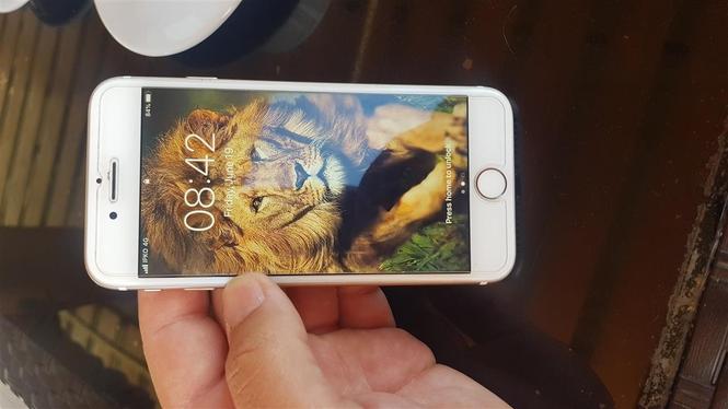 Shitet iphone 7 