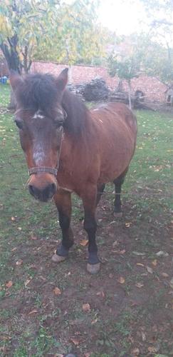 Kali