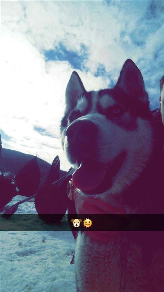 haski