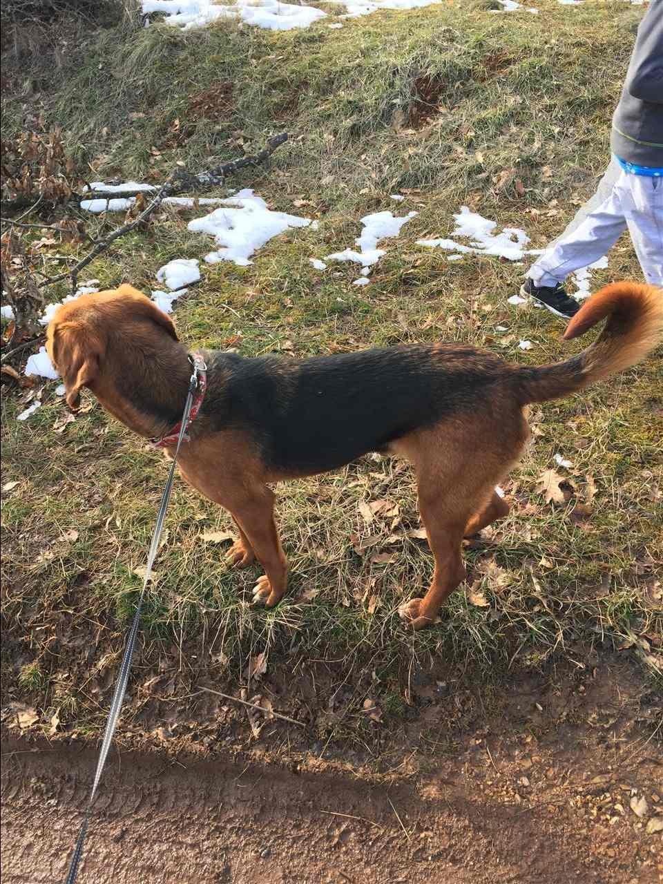 Zagar