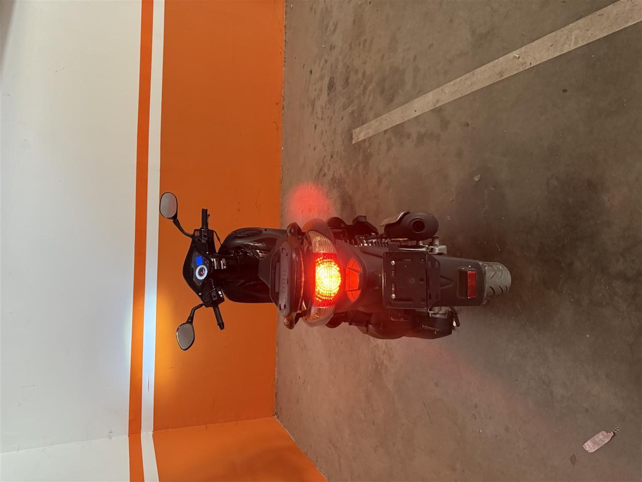Lintex-300cc