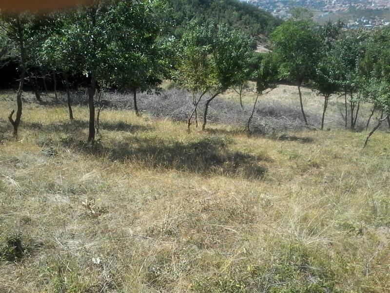 Truall-në-Sofali