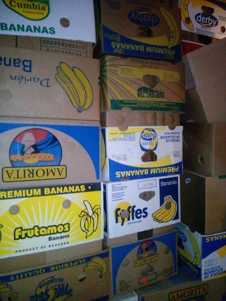 Paketa-Bananes